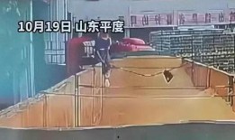 青岛啤酒爆料事件视频最新,真相与争议全解析