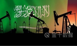 沙特最新疫情爆料,多城市病例激增，防控措施升级